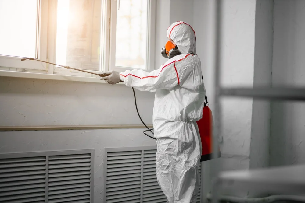 Professional mold remediation services in Hallstead, PA